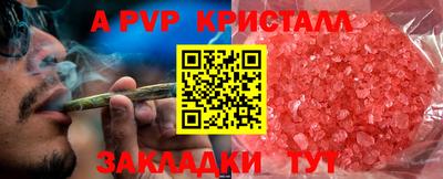 тгк Шахты
