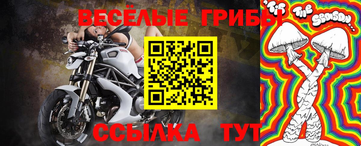 Галлюциногенные грибы Cubensis  Псилоцибиновые грибы ЛСД  Вход с VPN  Бугуруслан 